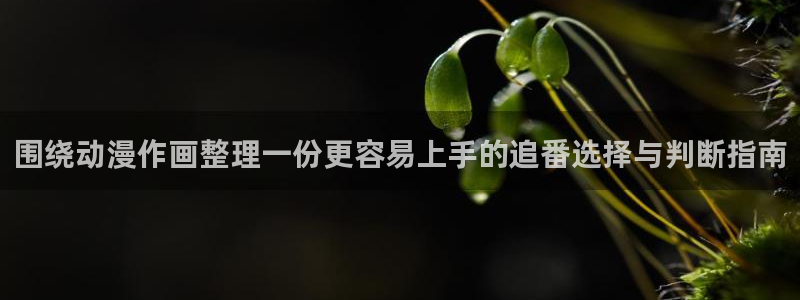 禁播里番动漫在线观看：围绕动漫作画整理一份更容易上手的追番选择与判断指南配图