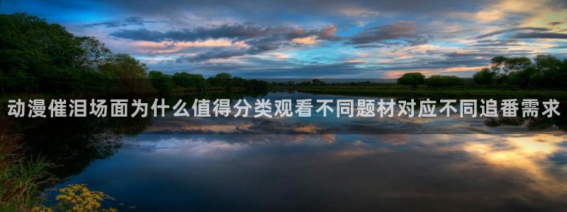 儿童里番动漫在线观看：动漫催泪场面为什么值得分类观看不同题材对应不同追番需求配图