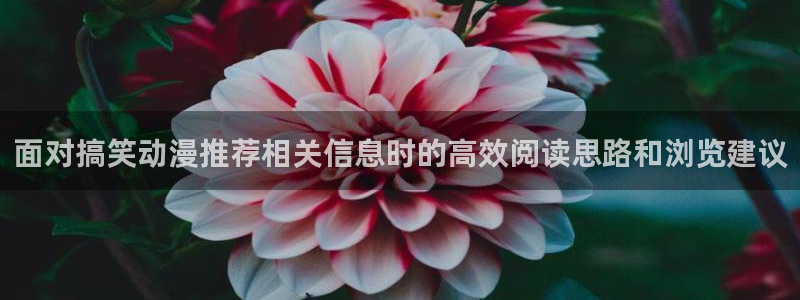 秘汤动漫在线观看里番：面对搞笑动漫推荐相关信息时的高效阅读思路和浏览建议配图