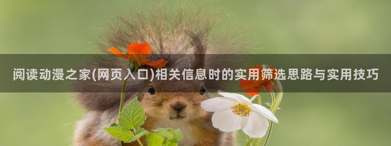 里番动漫在线观看：阅读动漫之家(网页入口)相关信息时的实用筛选思路与实用技巧配图