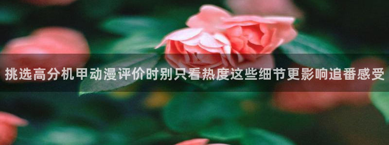 医里番动漫在线观看:挑选高分机甲动漫评价时别只看热度这些细节更影响追番感受配图