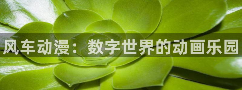 小女里番动漫在线观看:风车动漫:数字世界的动画乐园配图