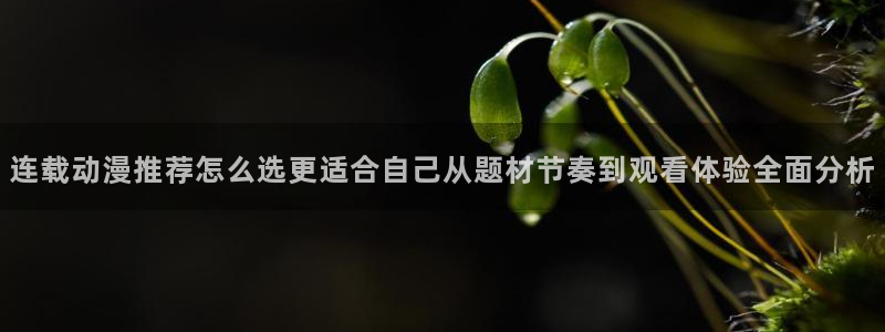 里番动漫网在线观看:连载动漫推荐怎么选更适合自己从题材节奏到观看体验全面分析配图