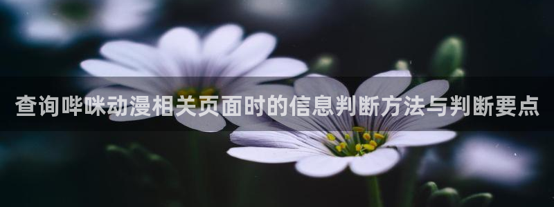 动漫sm里番在线观看:查询哔咪动漫相关页面时的信息判断方法与判断要点配图