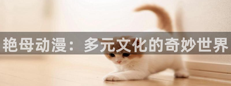 成年动漫在线观看番里:艳母动漫:多元文化的奇妙世界配图